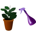 Home - Sky Seed Store