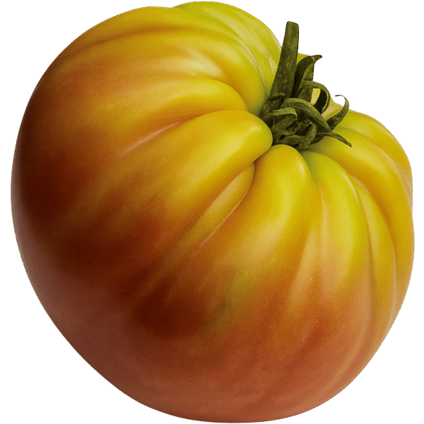Tomato Beefsteak Seeds Tomato Beefsteak Seeds