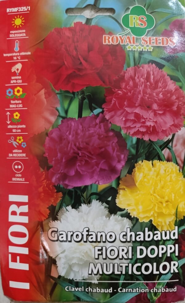 SKY SEEDS <h3><strong>Carnation Chabaud Mixed</strong></h3> <strong>Botanical Name:</strong> <em>Dianthus caryophyllus</em> <strong>Approx. 100 Seeds</strong> <strong>Carnation</strong> is a well-known type of carnation with double-petaled flowers in colors like pink, red, white, and yellow. These flowers have ruffled edges and strong stems, making them great for cutting and floral displays.  