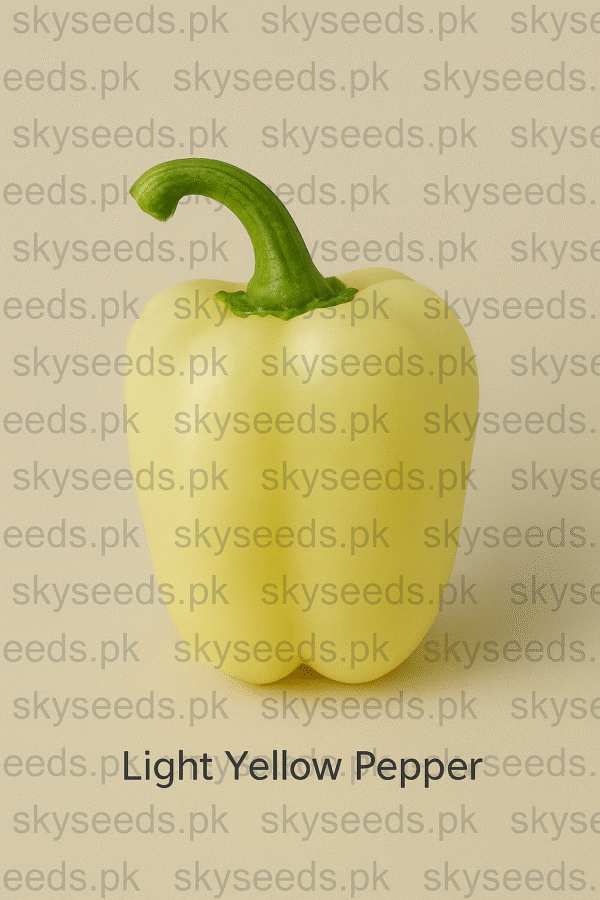 Yellow Bell Pepper Seeds "Peperone Soroksari"