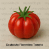 Tomato Seeds Costoluto Fiorentino