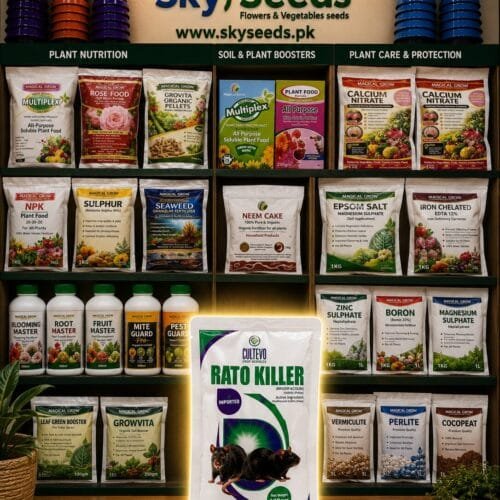 Rat Killer Bait 100gm Rat Killer Bait 100gm