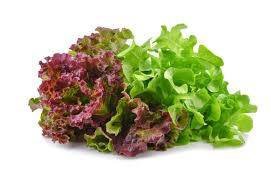Lettuce Seeds Green & Red Mixture