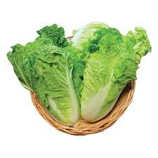 Romain Lettuce Crisp Delight F1 Approx.70 Seeds