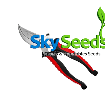 WISEUP Pruner Shears 7.5 Inch (185mm) WISEUP Pruner Shears 7.5 Inch (185mm)