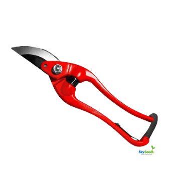 WISEUP Pruning Shear 9 Inch (225mm) WISEUP Pruning Shear 9 Inch (225mm)