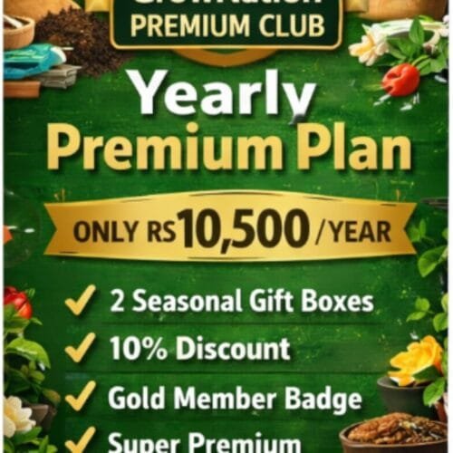 GrowNation Premium Club yearly GrowNation Premium Club Monthly