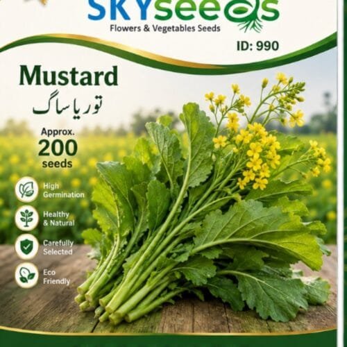 2026/08/1001068202.jpg Mustard Seeds Toria Saag